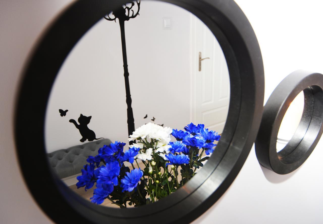 Apartament Pod Kopernikiem II Torun Luaran gambar